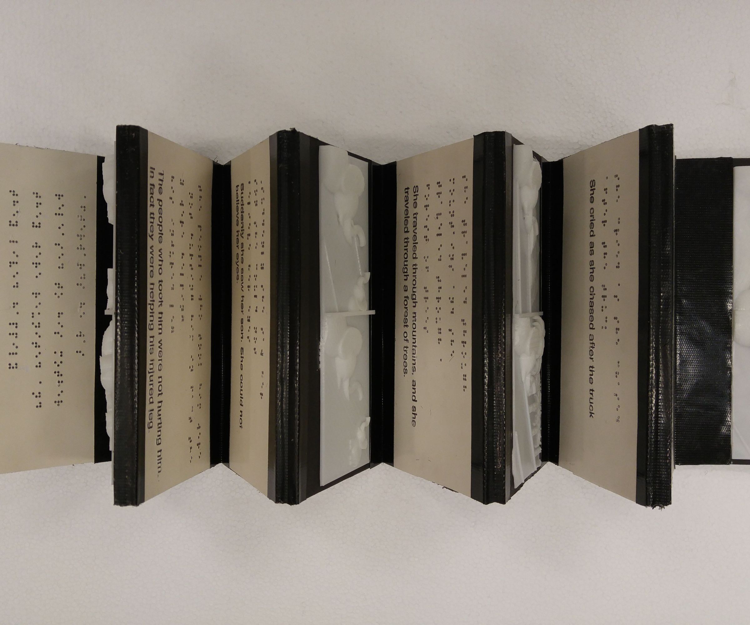 The Unexpected: a Tactile Children's Picture Book