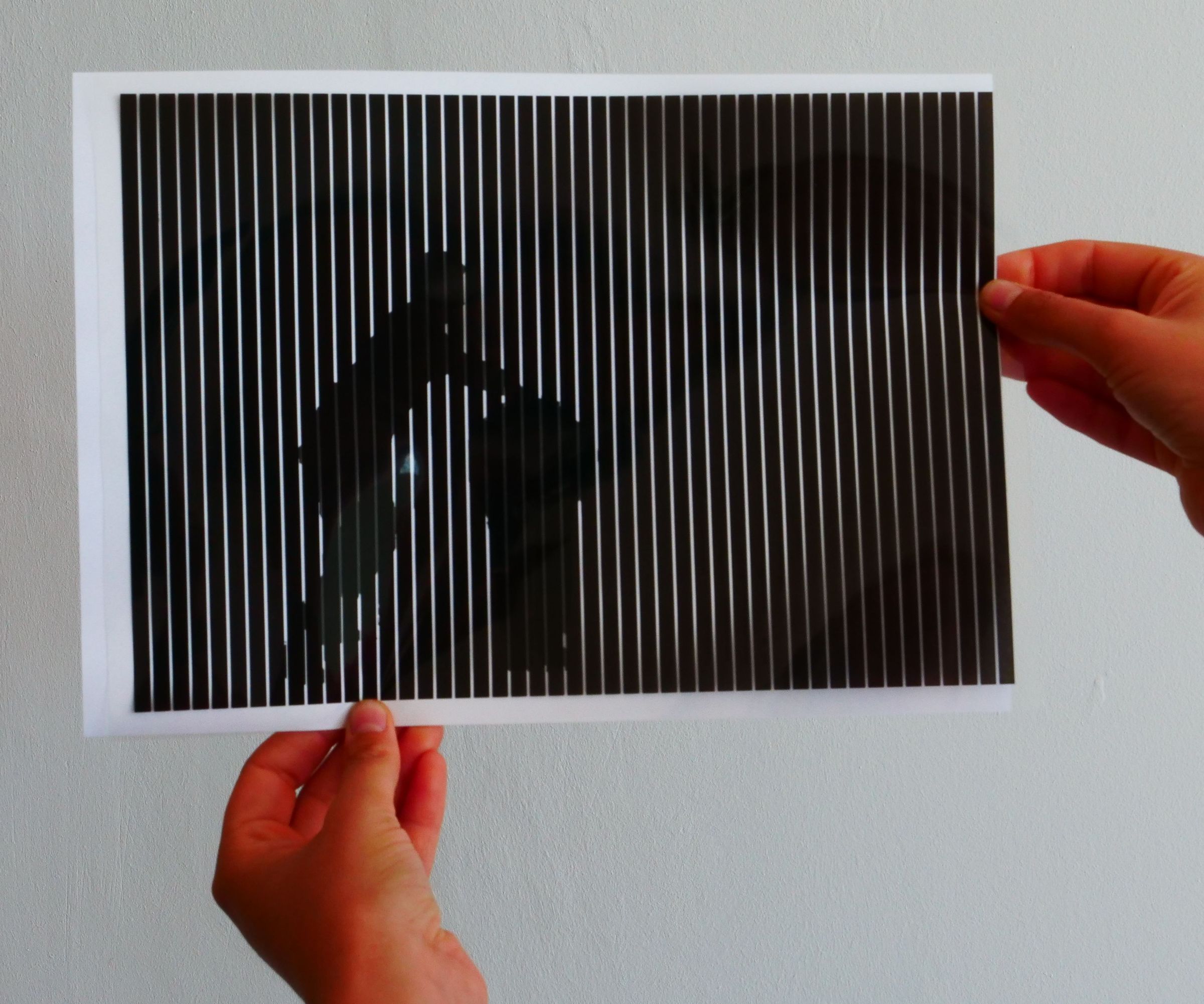 Kinegram or Analogous Boomerang Animation 