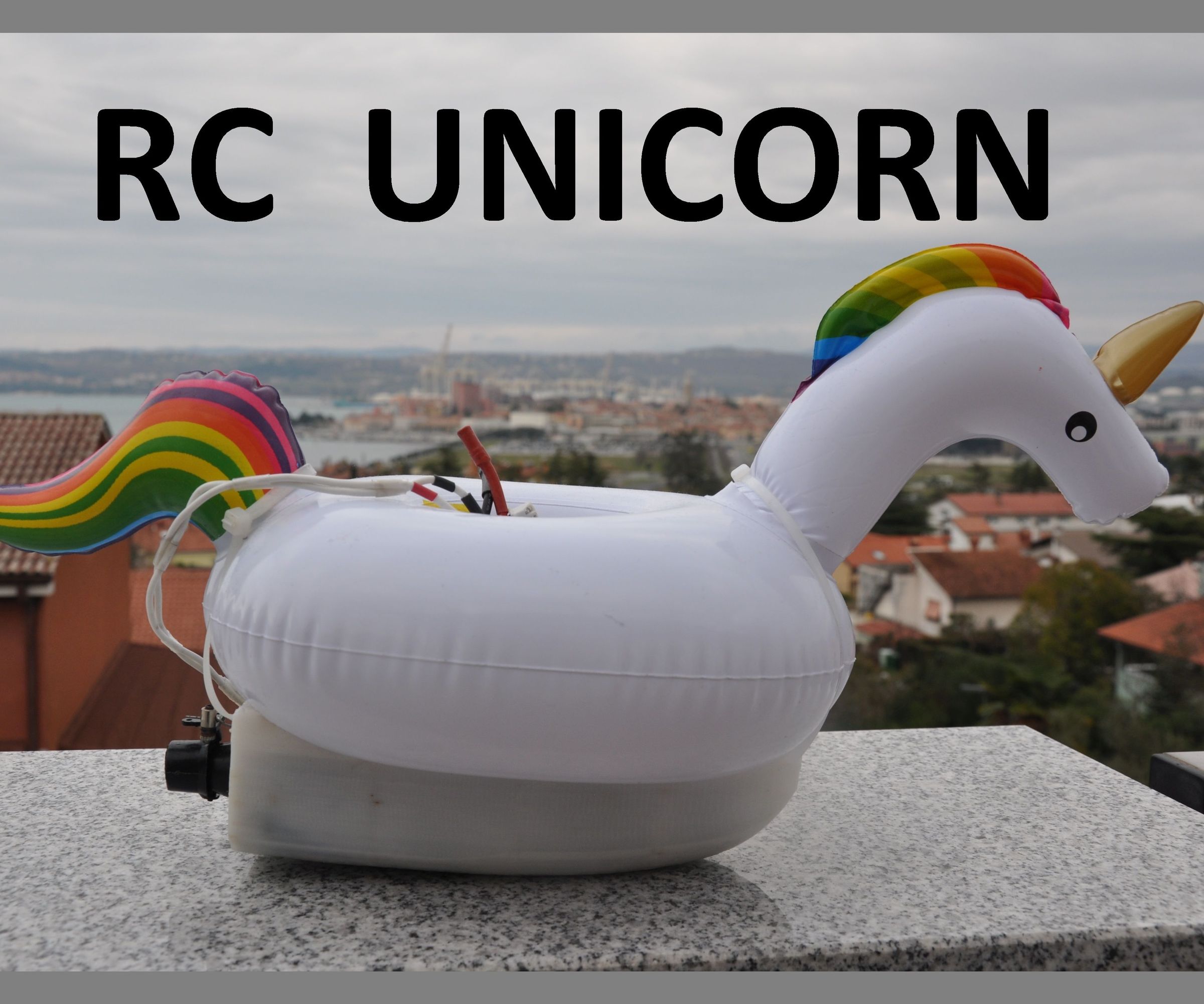 DIY RC Floatie Unicorn