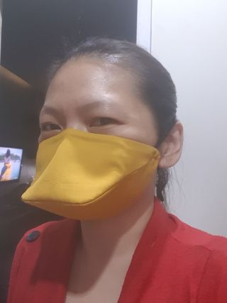 Face Mask Duckbill With Filter : 5 Steps (with Pictures