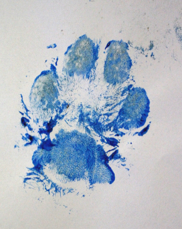 dog safe paw paint