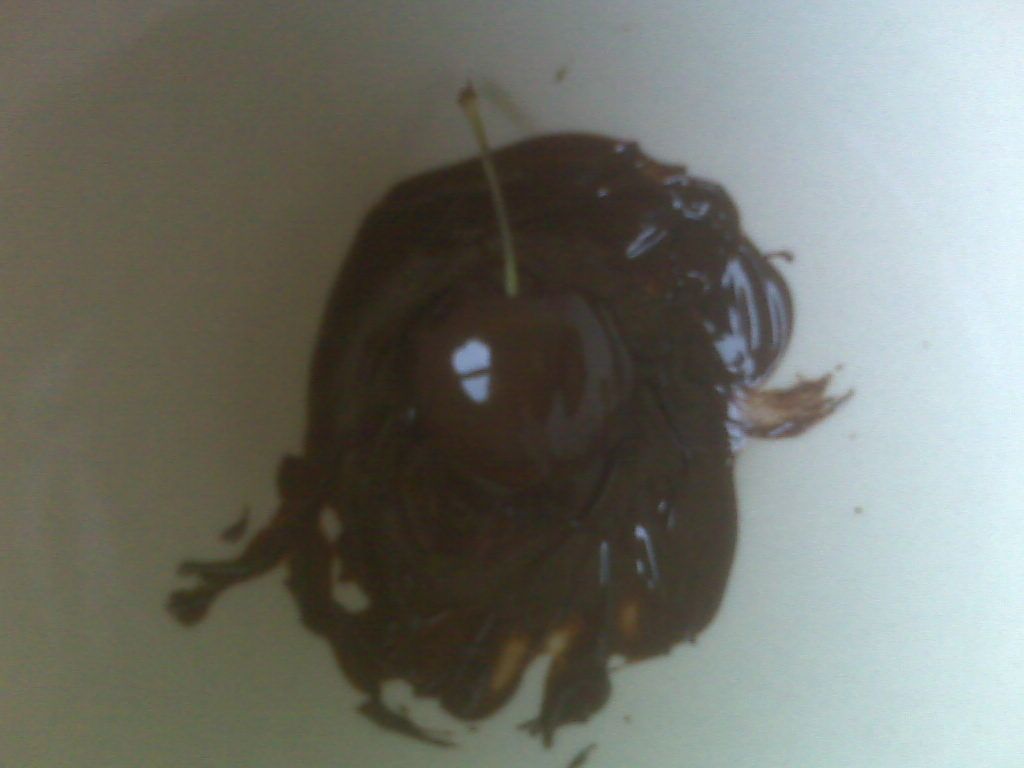 Dark Chocolate Dipped Cherry - Individual Size!