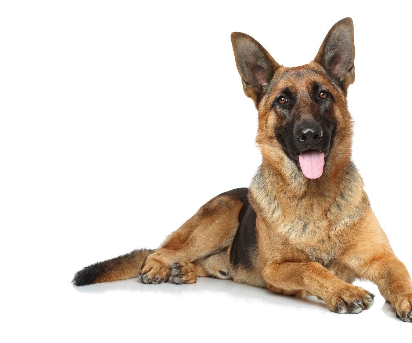 Secure WIFI Router - AntiVirus, Malware and Ransomware Protection & Privacy