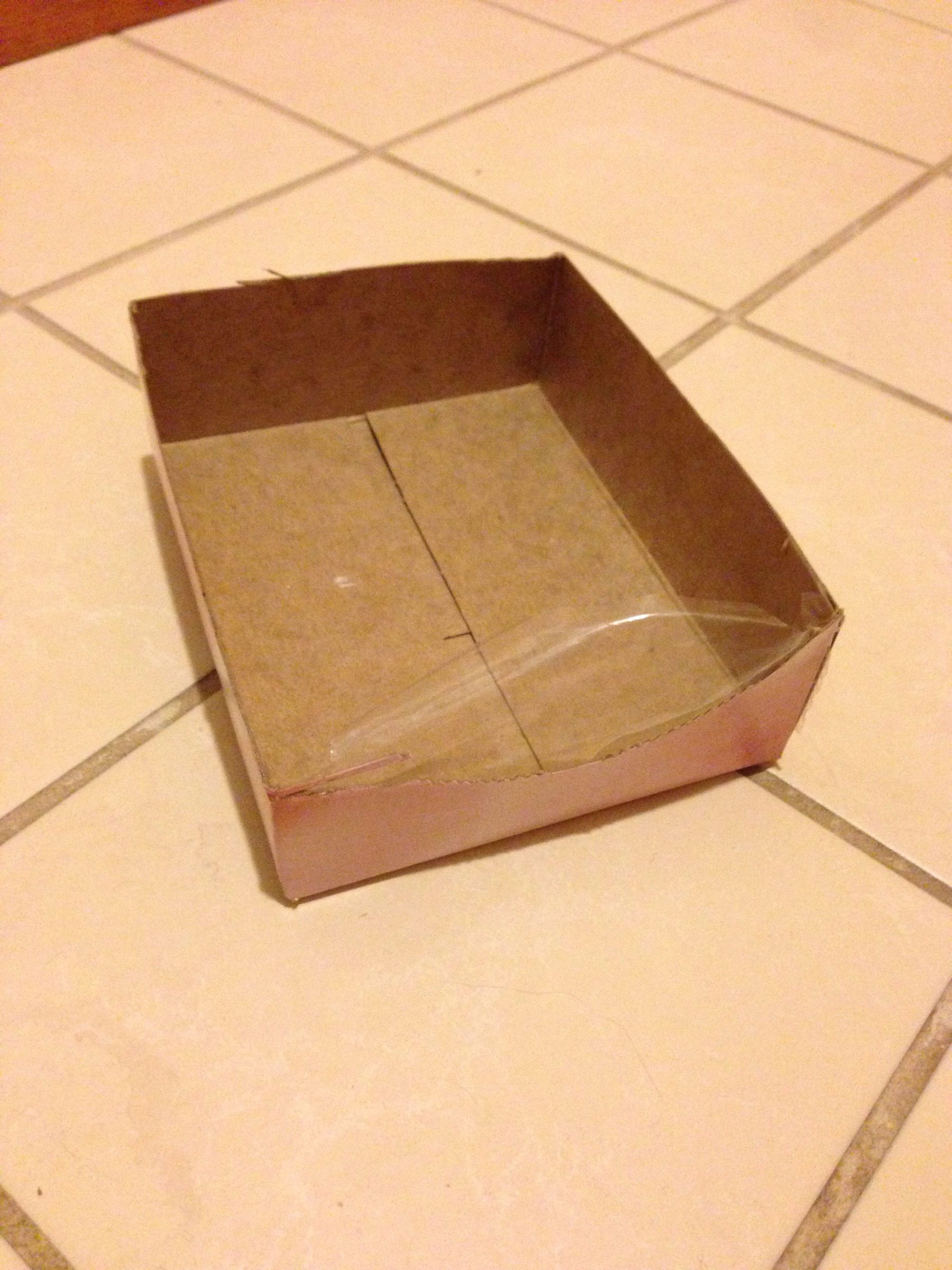 How To Litter Box Train Your Hedgehog 6 Steps (with Pictures