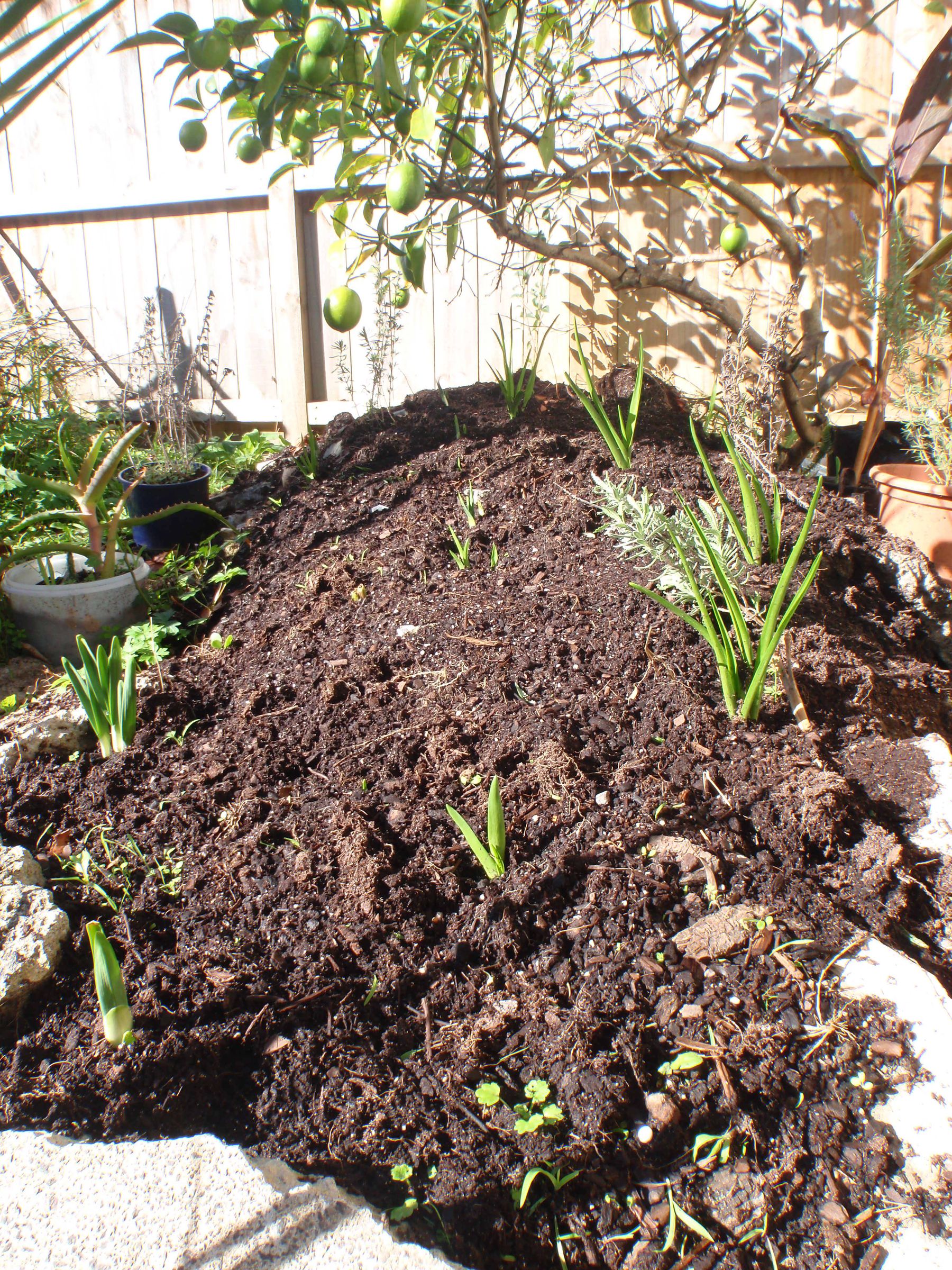 How to Make a Raised Flower Garden From a Pile of Old Concrete & Rocks
