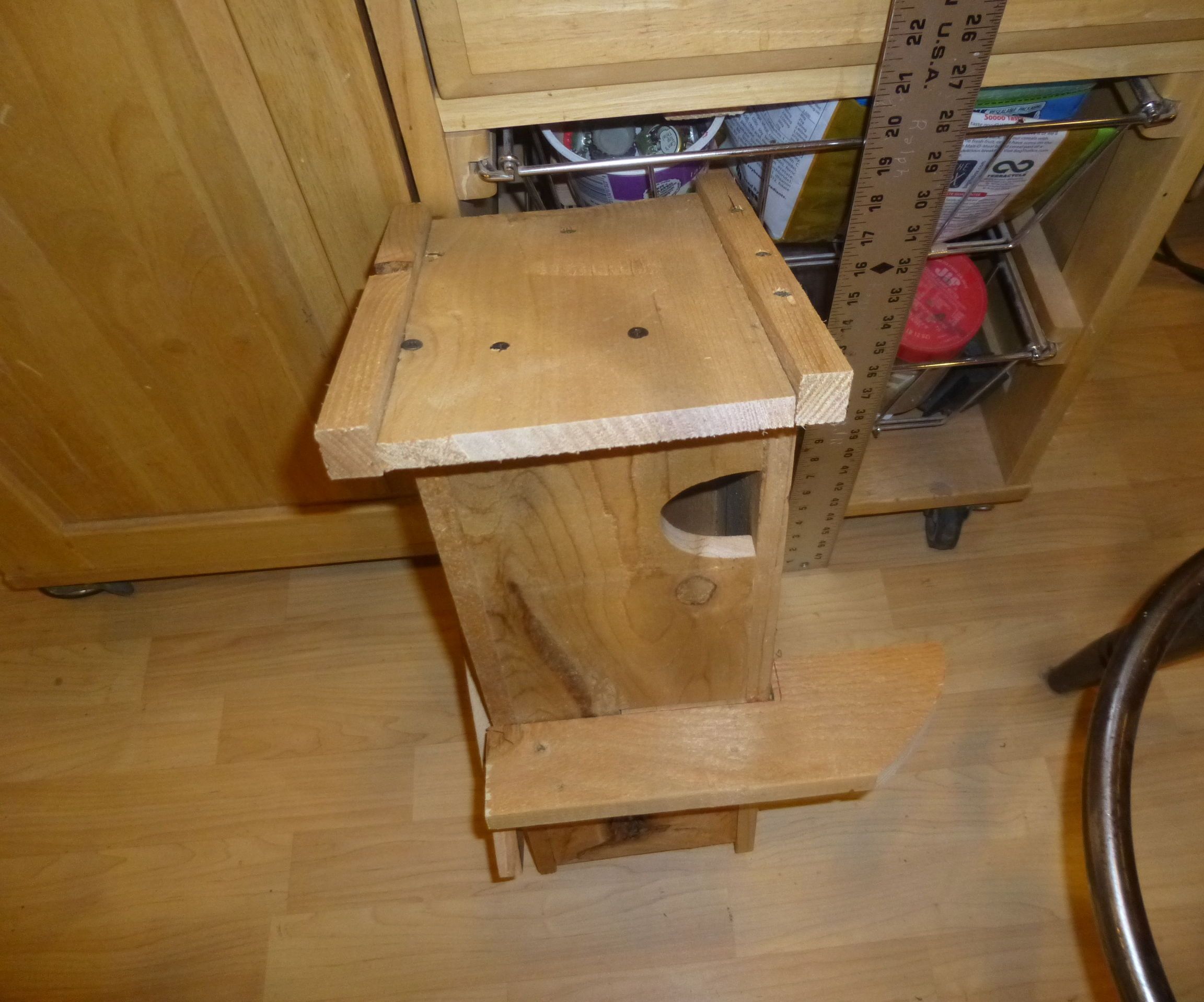 Squirrely House