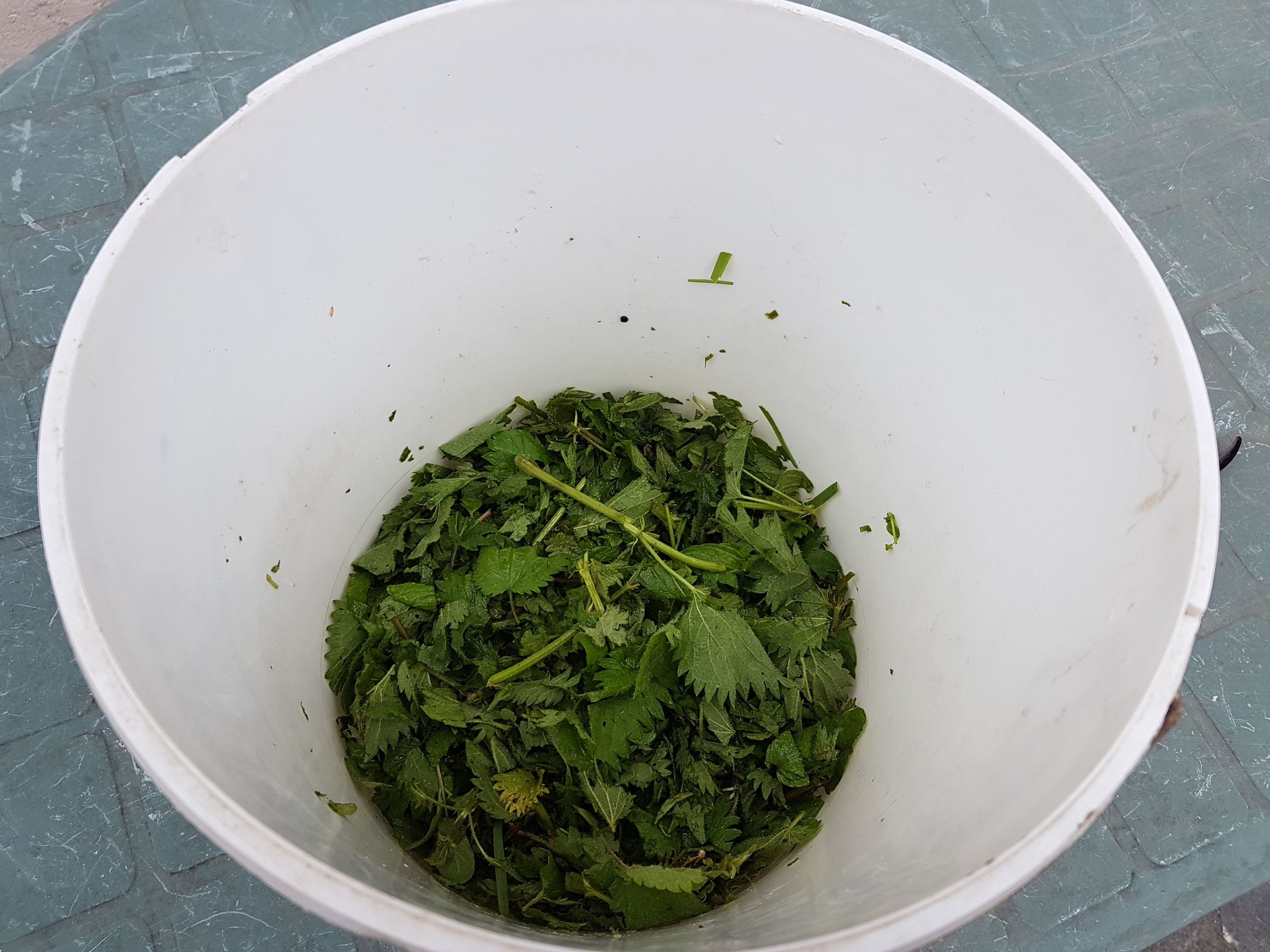 Organic Care of Your Garden Manure, Maceration and Decoction (incl