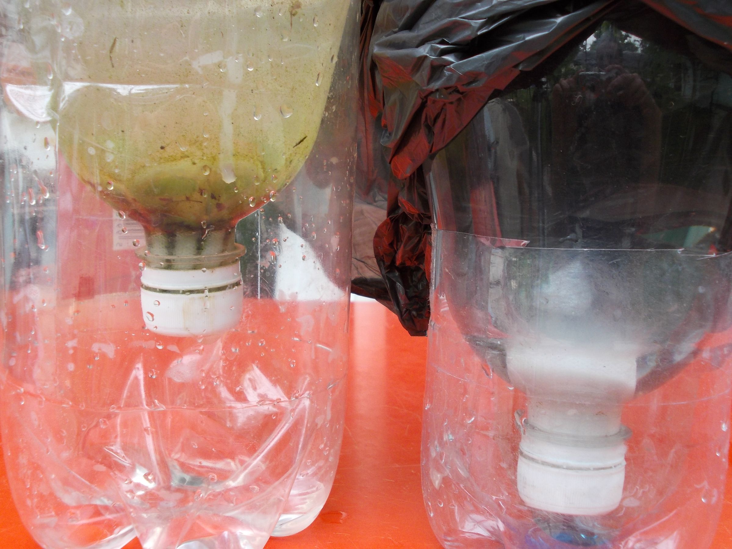 Pet Bottle Dropper for Gardening.
