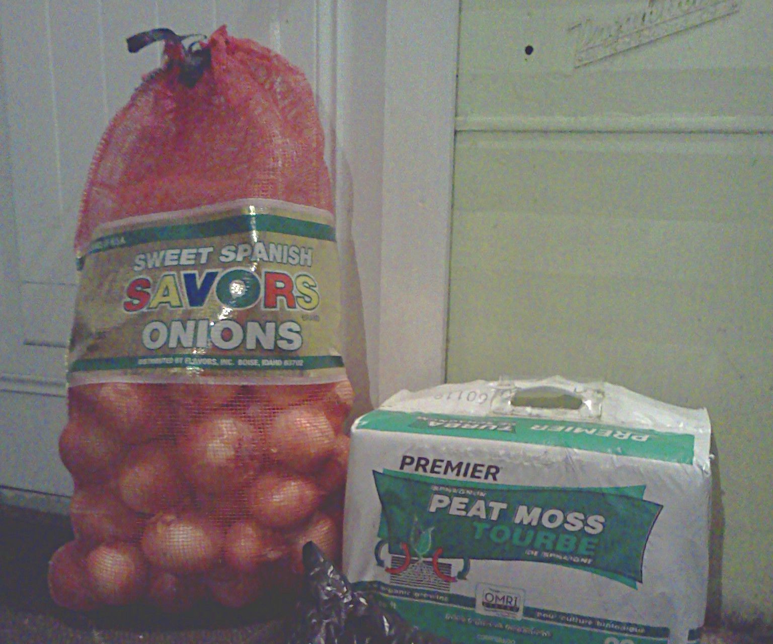 Storing Onions (Hopefully)