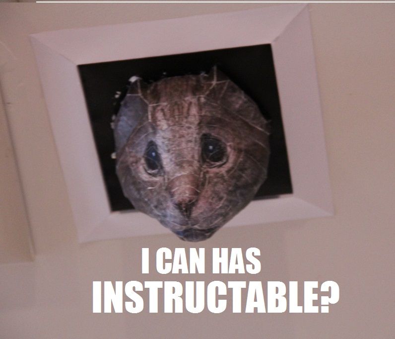 Paper Pub #4: Install Surveillance Cat