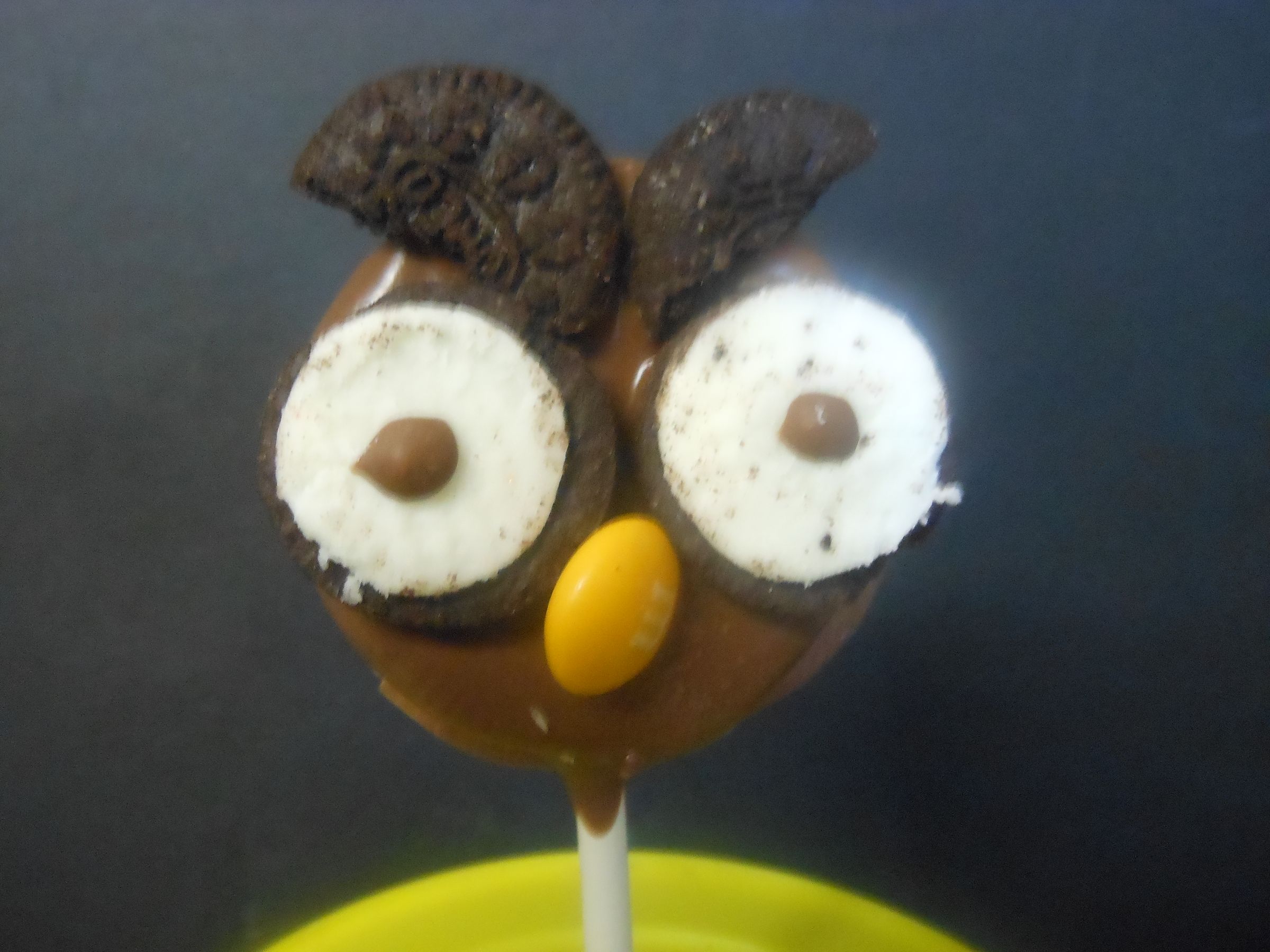 Owl Pops