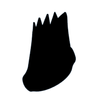 download {{ file.name }}