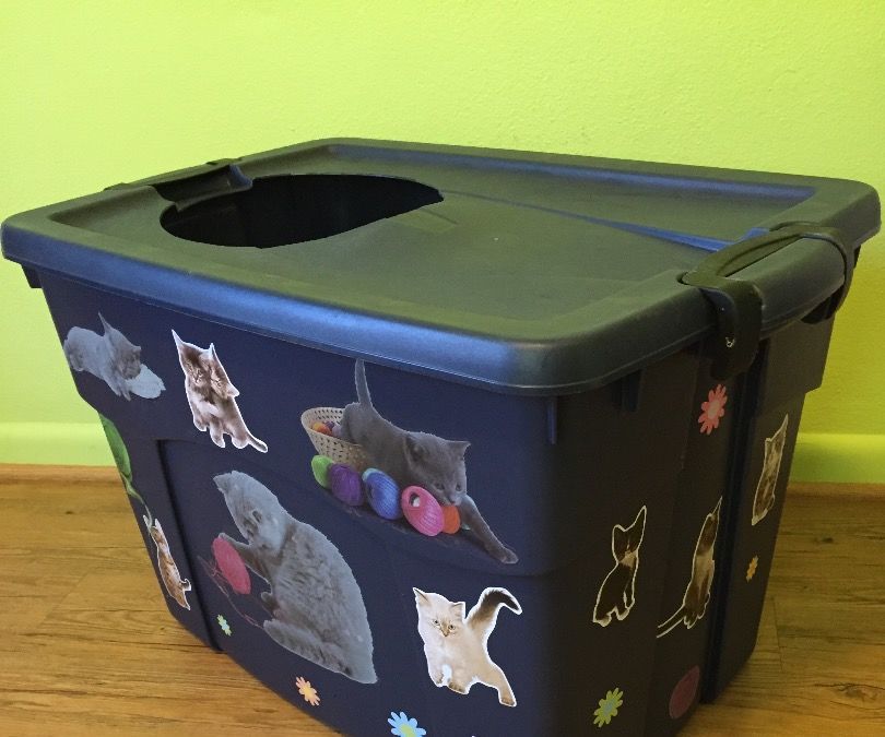 My Kitties' Litter Box