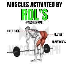 How to Properly Perform a RDL (Romanian Dead Lift) : 6 Steps ...
