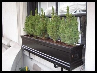 The 60 Inch Window Boxes for Homes and Restaurants Use