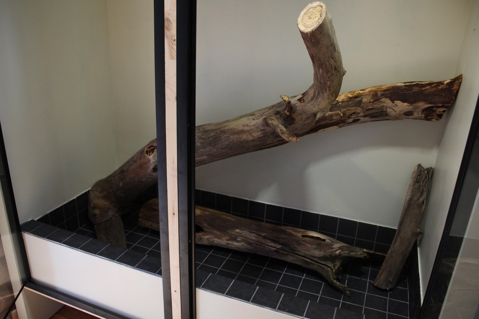 how to create a vivarium