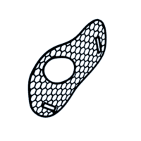 download {{ file.name }}