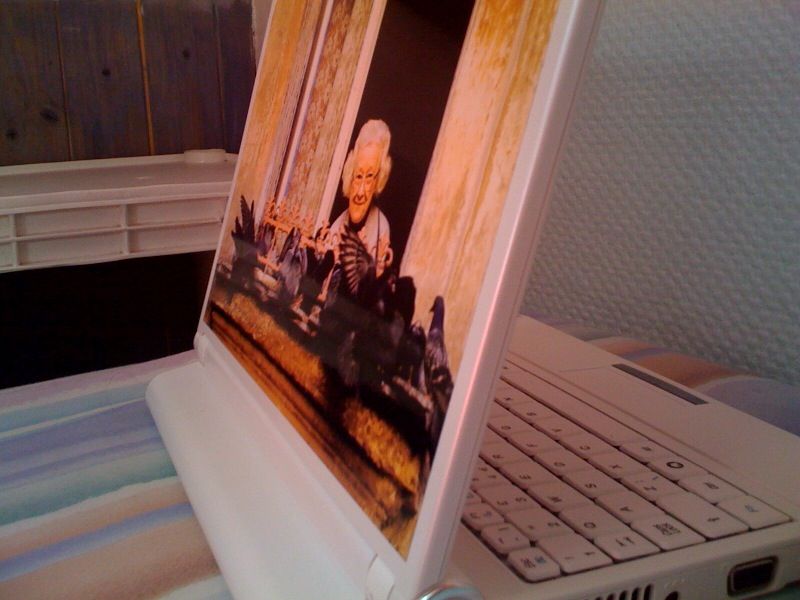 Laptop Skin