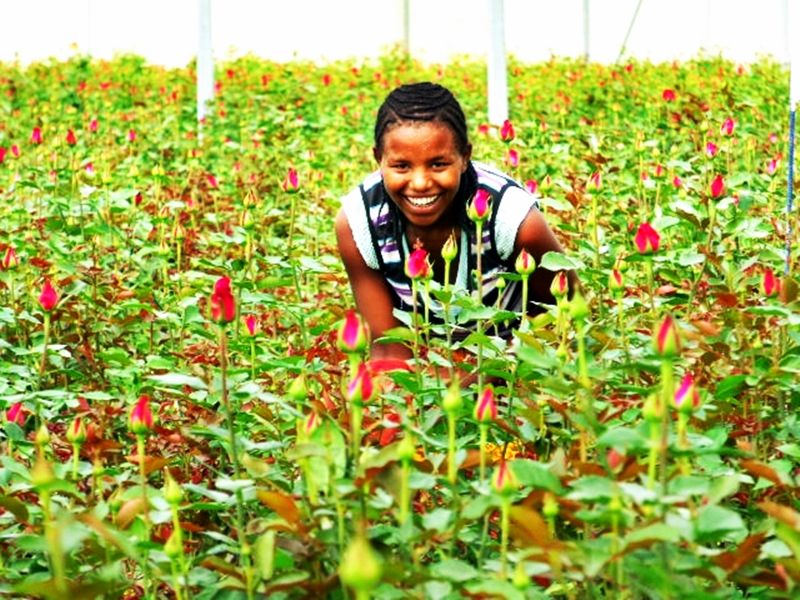 How to Take Care of Our Garden