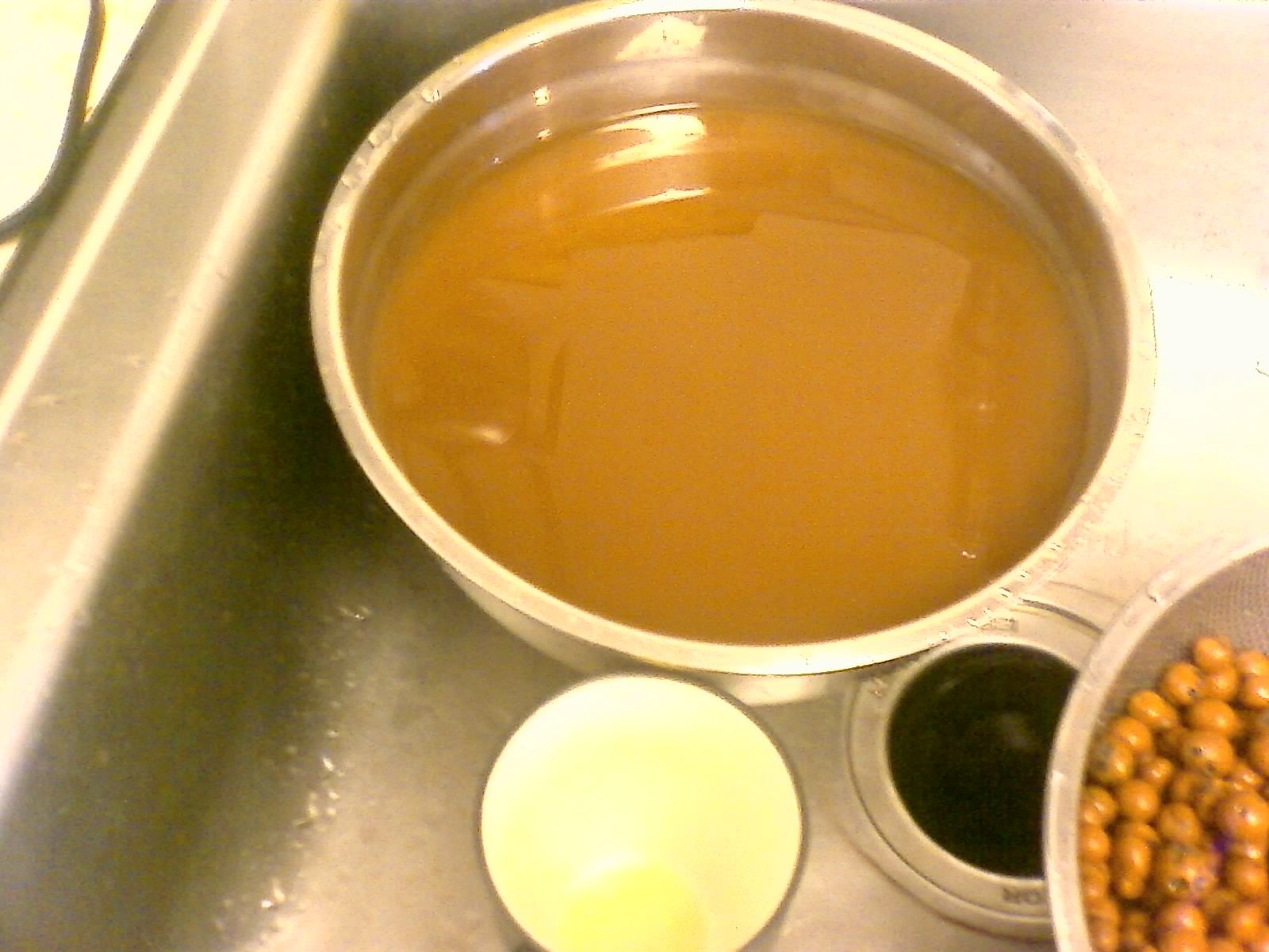 Aquaponics (Growing Plants With Fish Poo) 13 Steps (with Pictures