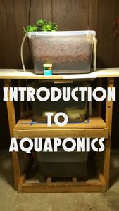 Introduction to Aquaponics