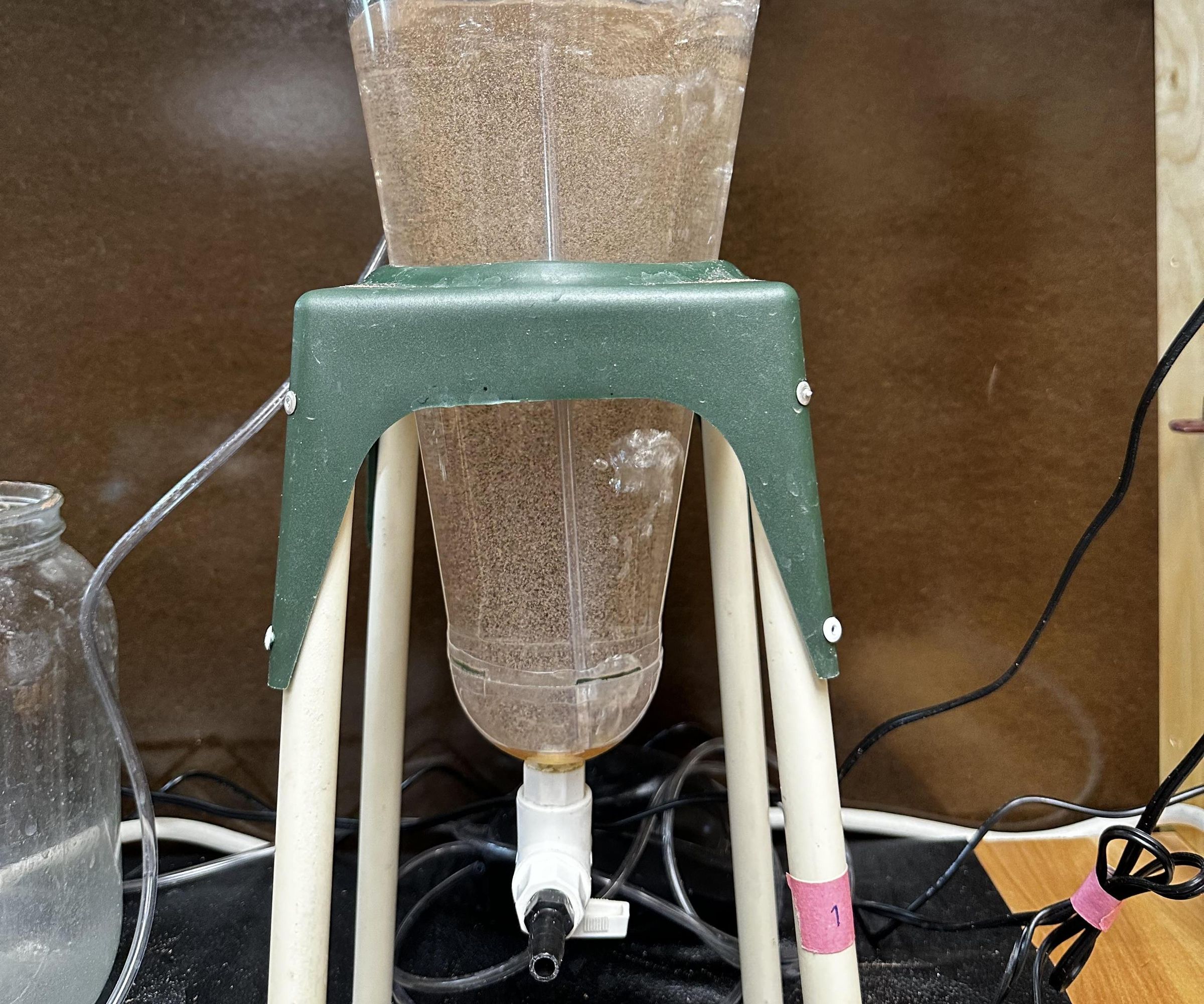 How to Prepare Brine Shrimp As Food for Zebra-fish