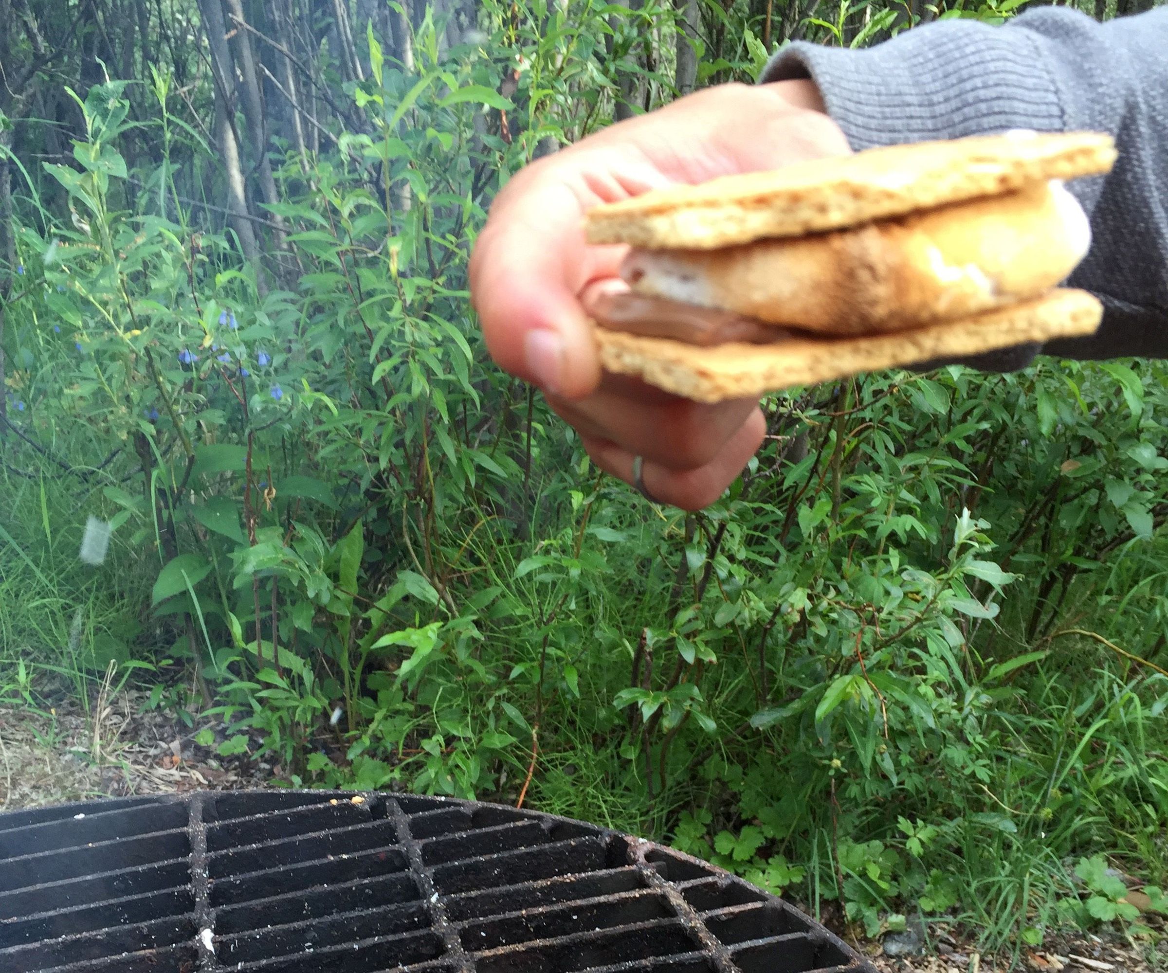 Sweet Summer S'mores