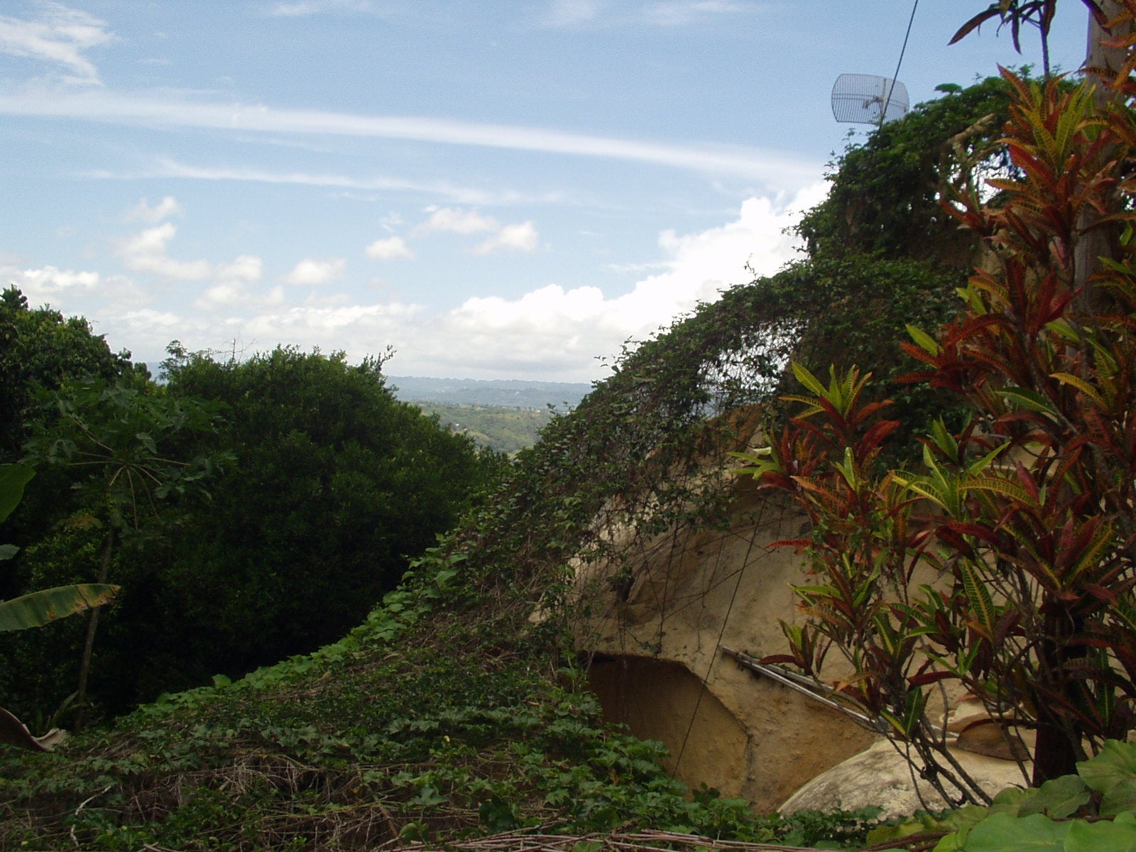 A REBAR TRELLIS for Home and Garden 9 Steps Instructables