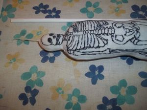 Model of the Human Skeleton : 4 Steps - Instructables