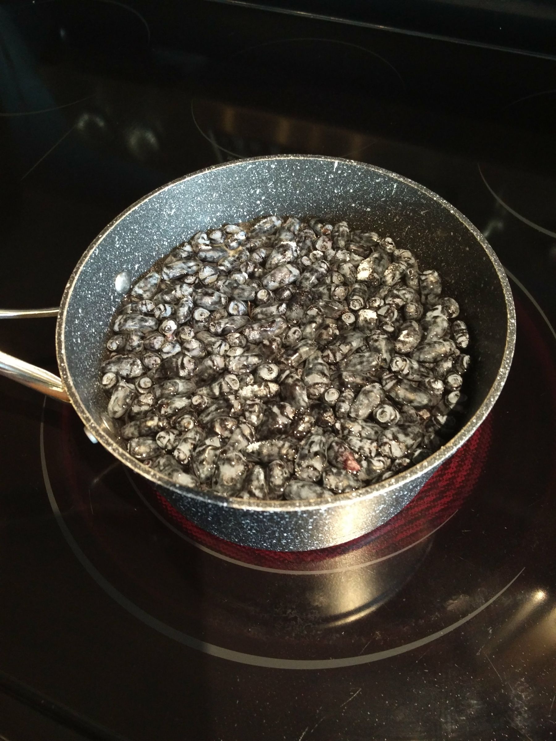 Haskap Berry Cheesecake 6 Steps (with Pictures) Instructables