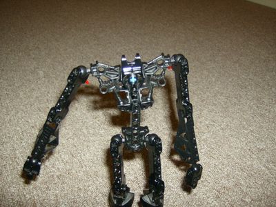 The Body