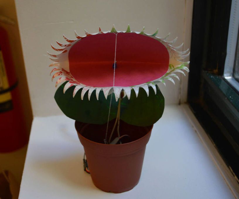 Venus Fly Trap Toy Powered by Intel Edison