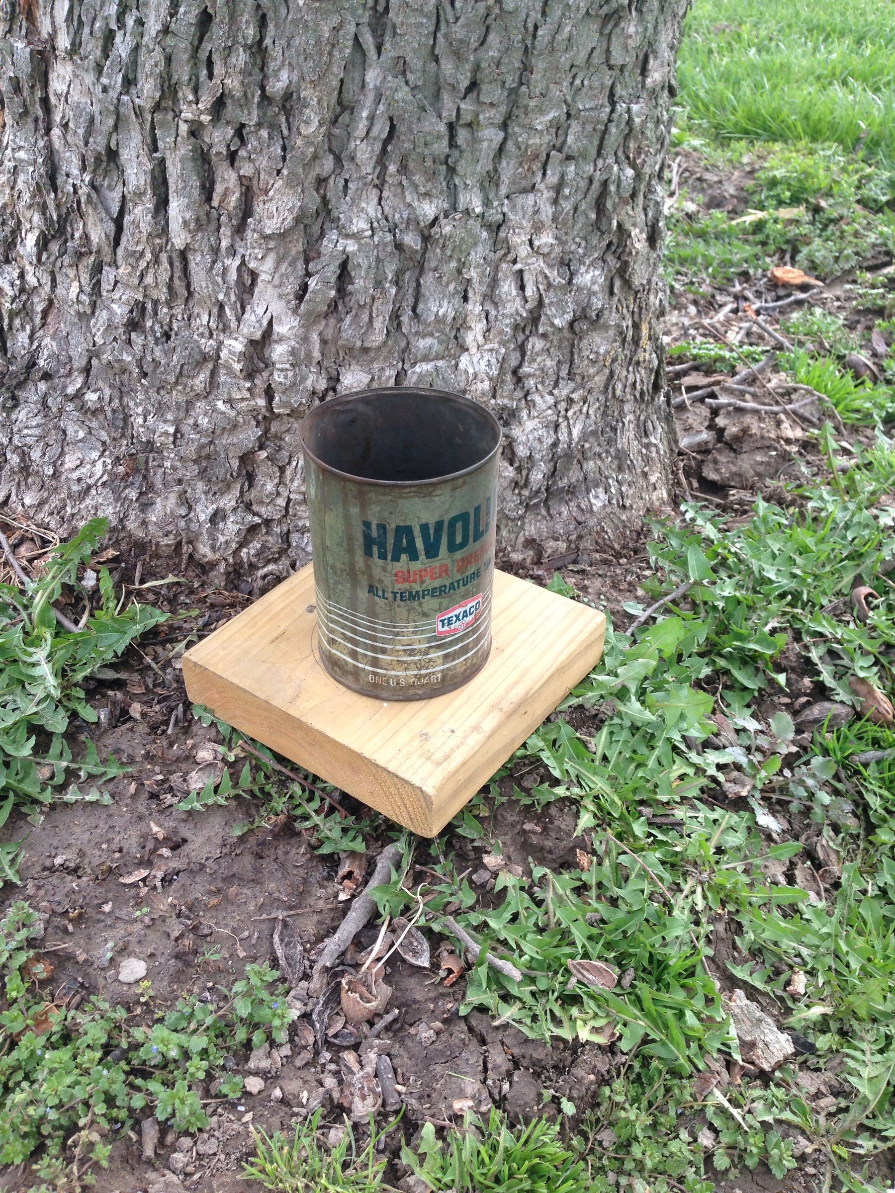 Oil Can Squirrel Feeder