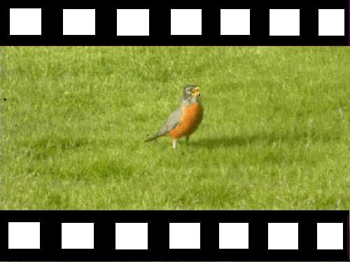 How to Edit Video Frames