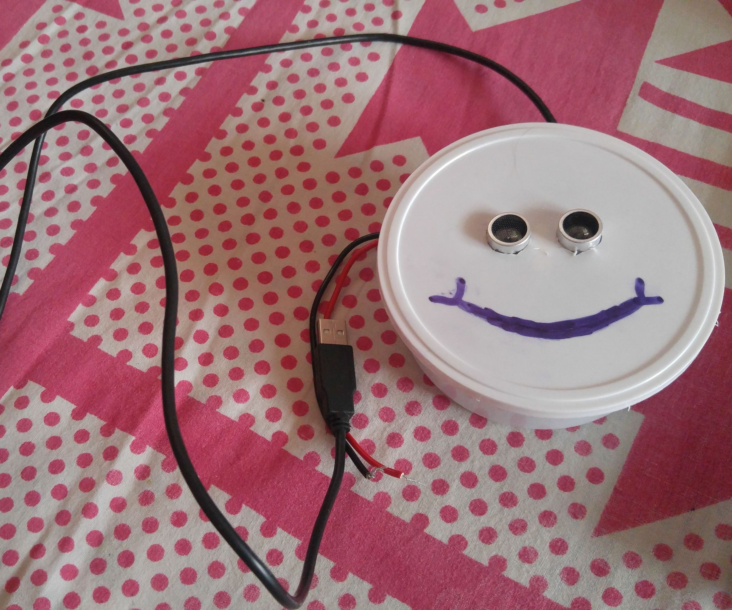 Ultrasonic motion detector light starter : THE WATCHER