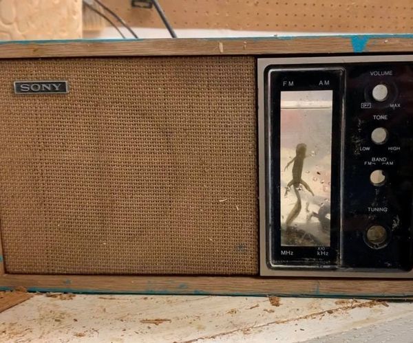 Salamander RadioQuarium