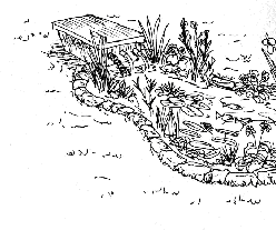 DIY Backyard Pond