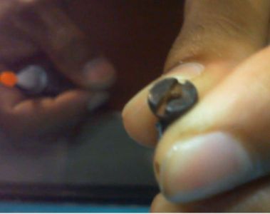 Cocoons