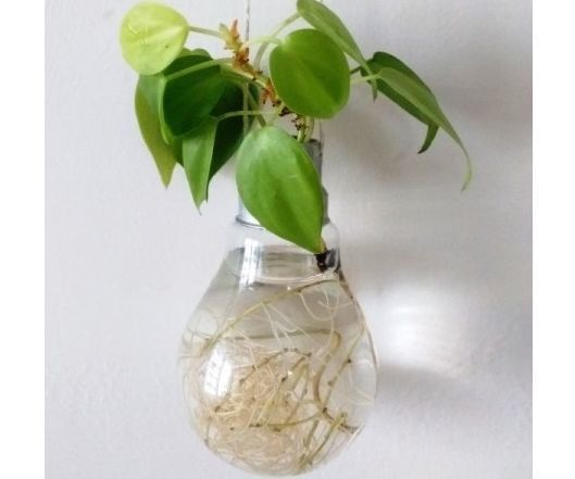 Recycled Lightbulb Vase