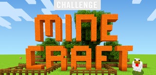 Minecraft Challenge