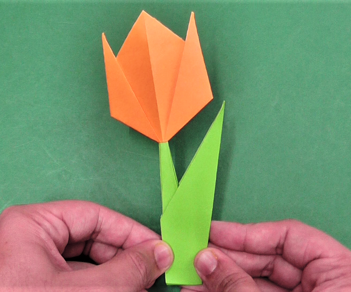 How to make a simple and easy paper tulip flower.