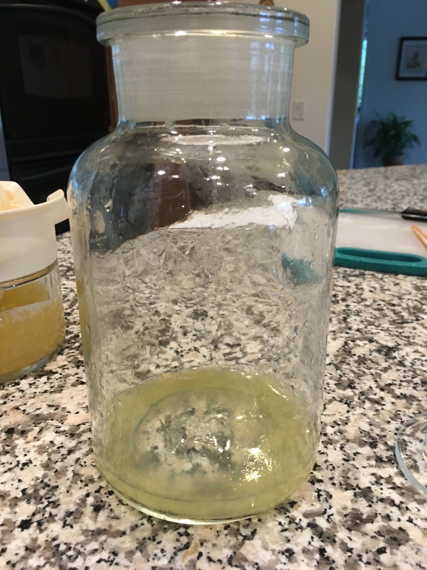 Honey Chia Lemonade 6 Steps (with Pictures) Instructables