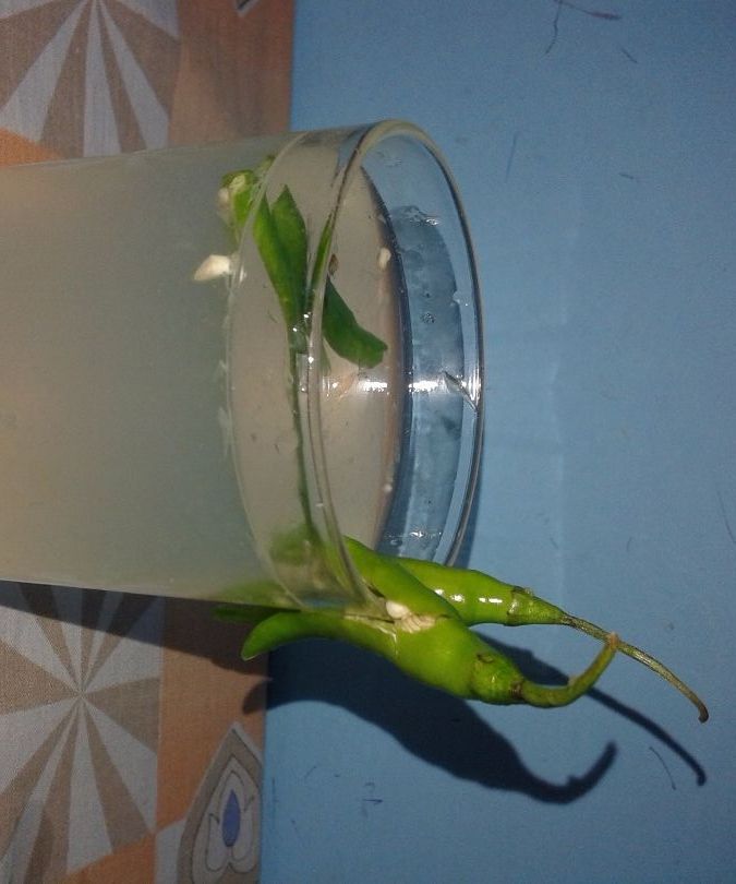 Green Chilli Lemon Juice