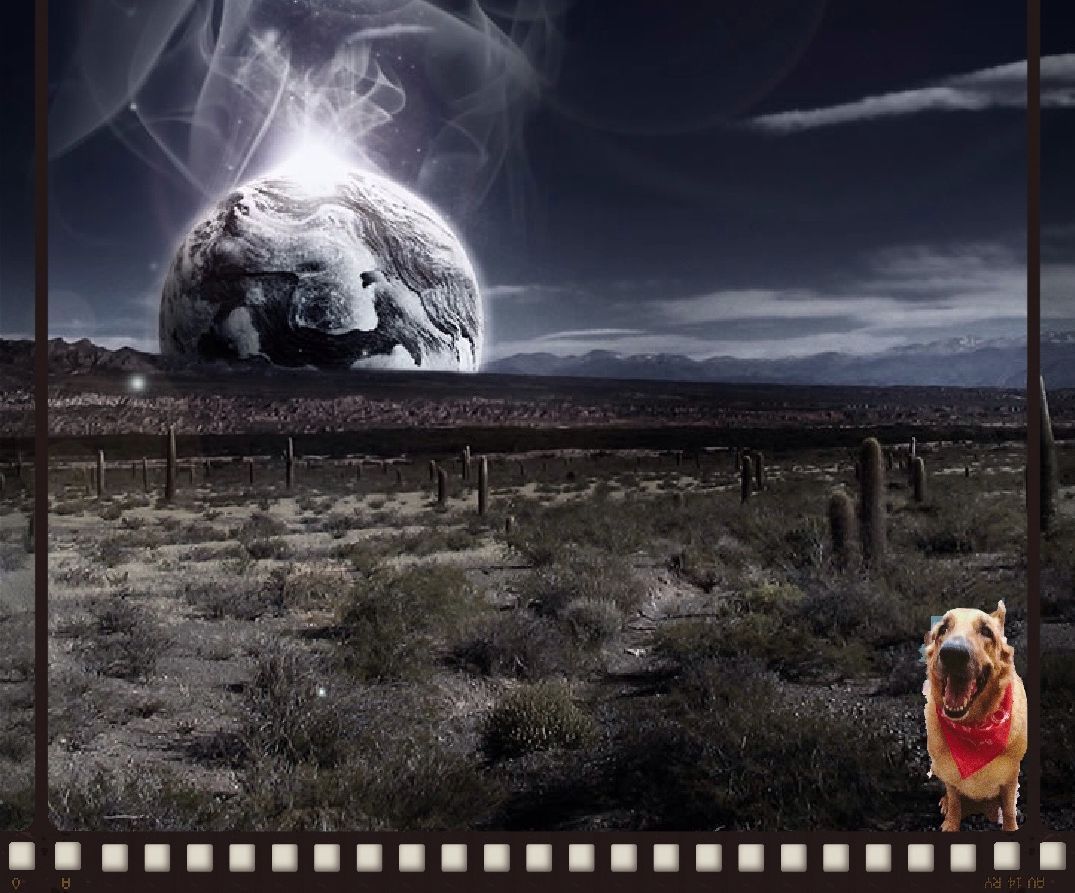 Very Basic Photo Editing: Cropping, Photoshop, and Frames- Ipad Style