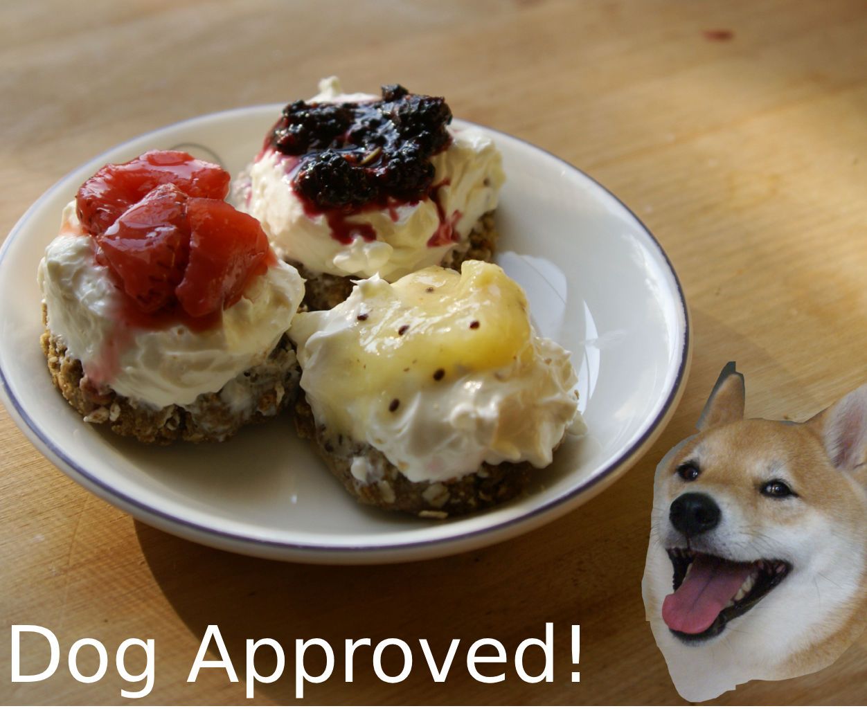 Dog Cheesecake Recipe