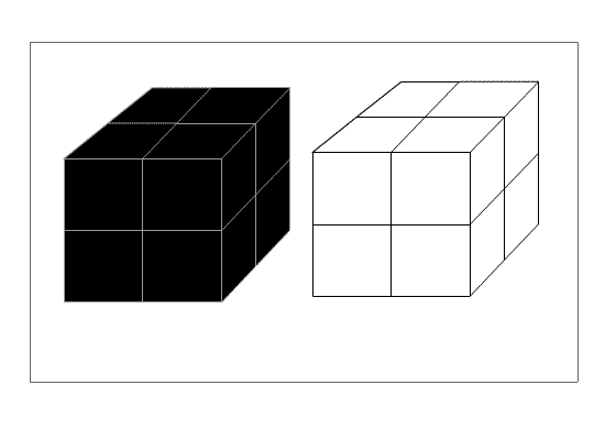Unbelievable! White or Black. Crazy Paper Cube. 