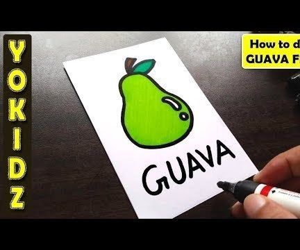 HOW TO DRAW GUAVA EASY