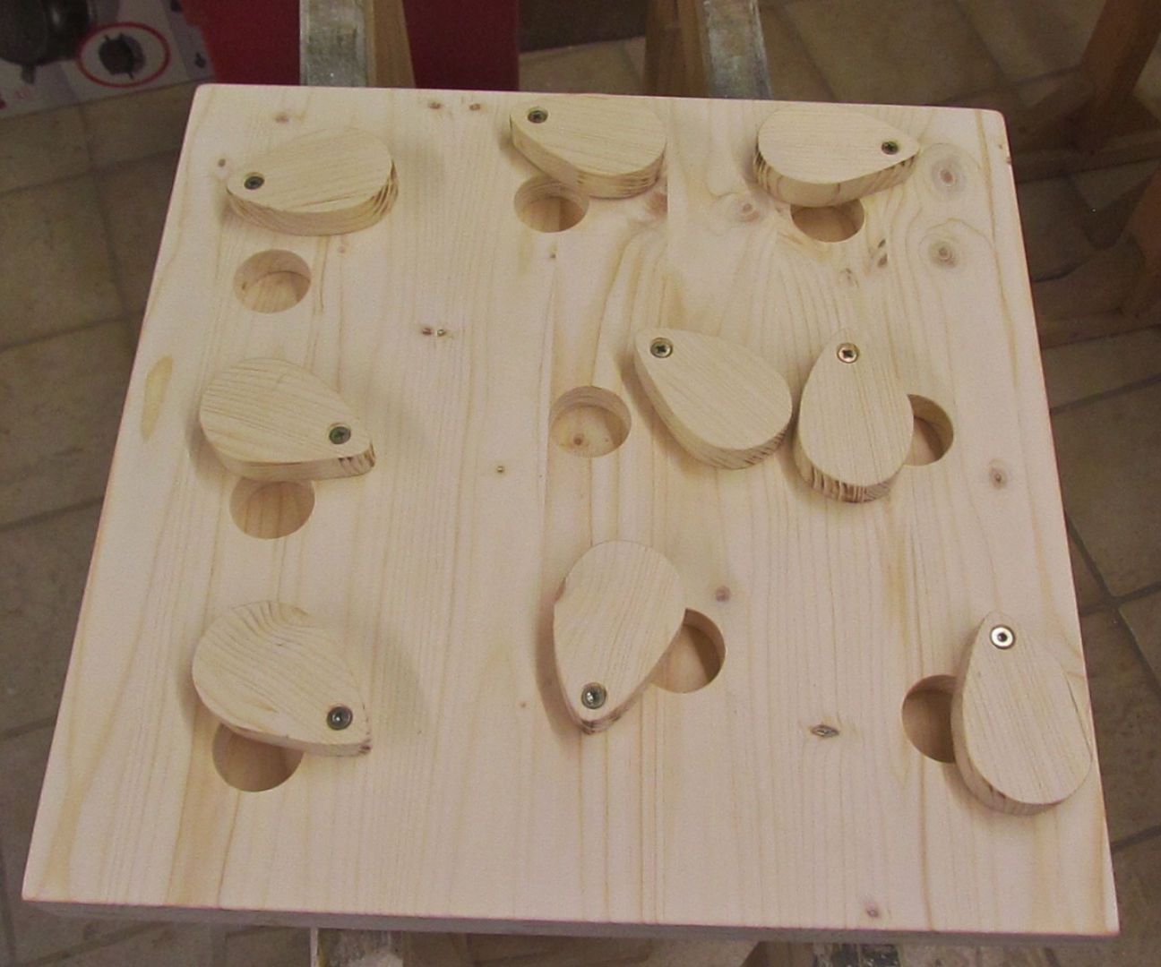 Öttbrett for Guinea Pigs