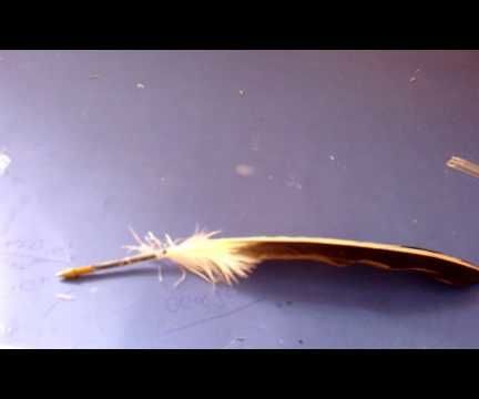 Vintage Feather Pen ! 