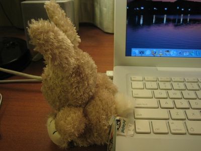 Easter Gift Usb Thumbdrive Bunny - Pocket-sized Contest